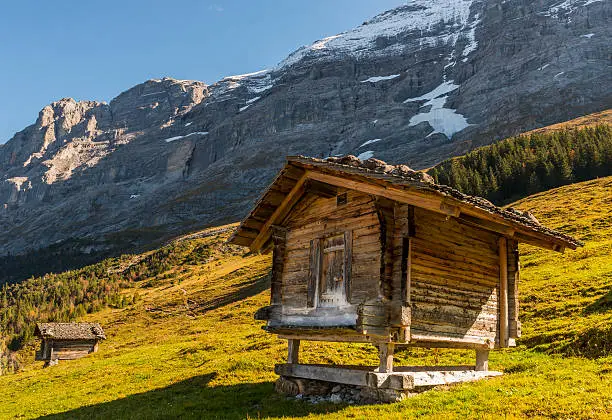 Two old wooden cabins in Switzerland Alps with Eiger and snow in a meadow with evening light.