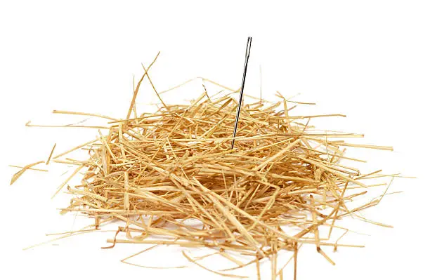 Closeup of a needle in haystack