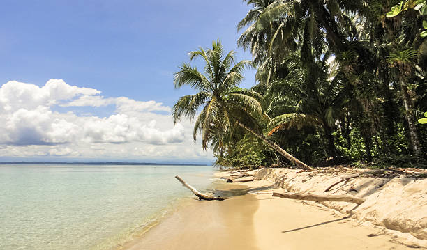istock Zapatilla island of Panama 547218534