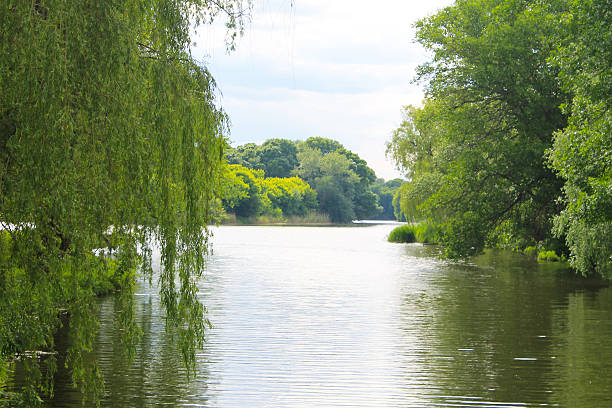 istock Beautiful lake on summer 547219140