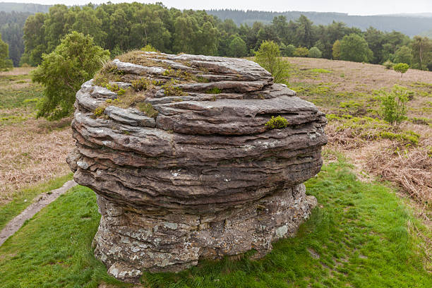 The Bride Stones at Dalby Forest