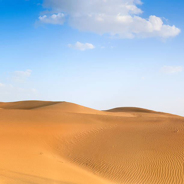dunes ensoleillées sur le grand désert indien près du pakistan - thar desert photos et images de collection
