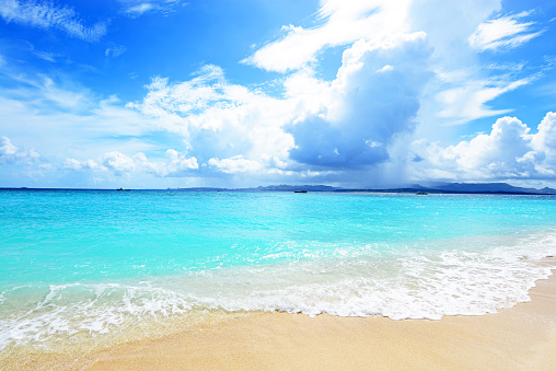 An underwater scene in Boracay Island, Philippines. The image showcases a coral reef with a blue starfish positioned at the center. The reef is adorned with various types of corals, including brain corals, stony corals, and branched formations. The water is clear and blue, allowing visibility of sunrays penetrating the surface. No fish are visible in the photograph.