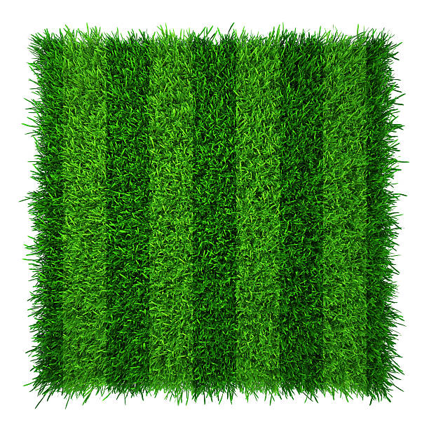 istock Green grass lawn soccer field. Realistic texture 547233424