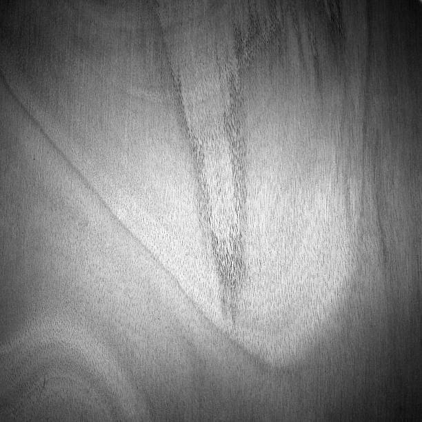 istock Black and white wood grained door panel from the 70's 547234680