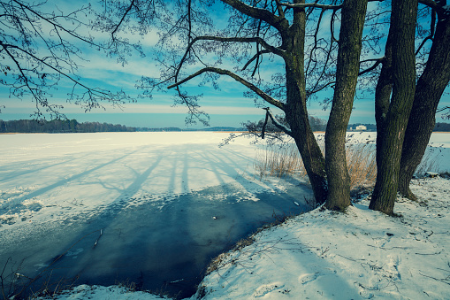 Winter snowy landscape with frozen lake and tree
