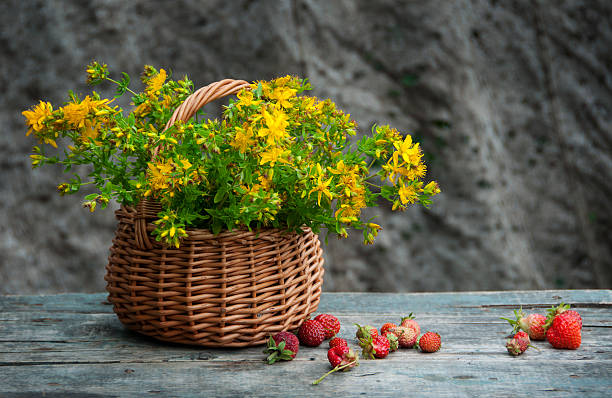 istock St. John's wort and strawberries still life 547237852
