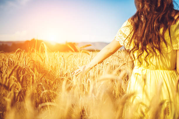 istock sunny day in countryside 547240536