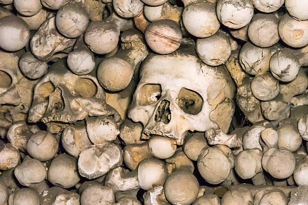 istock Skulls and bones in the Bone Church in Kutna Hora 547245838