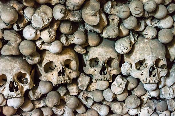 istock Skulls and bones in the Bone Church in Kutna Hora 547245874