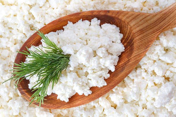 crumbly cottage cheese in the wooden spoon with dill stock photo