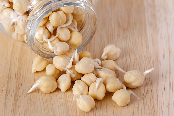 germinated chickpeas in a glass jar on the wooden background stock photo