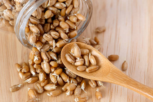 wheat germ in a glass jar on the wooden background stock photo