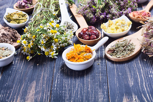 herbes , baies et fleurs - mortar and pestle lavender chamomile herb photos et images de collection