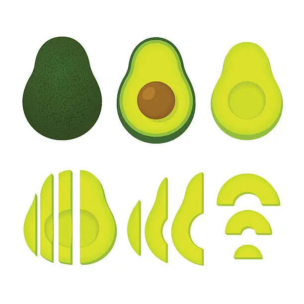 Vector illustration of Whole and cut avocado