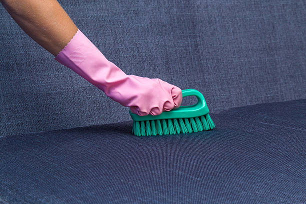 istock Sofa cleaning with professionally brush. Summer cleaning. 547413770