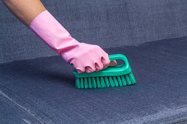 istock Sofa cleaning with professionally brush. Cleaning service. 547413930