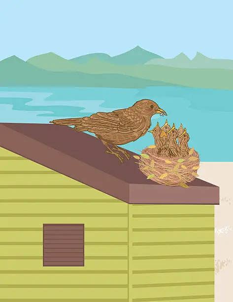Vector illustration of Mother Bird Feeds Her babies On A Beach Hut