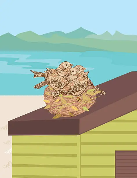 Vector illustration of Birds Nest On Beach Hut