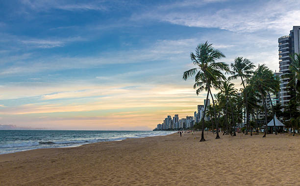 istock Sunset on a beach with palm trees 547419602