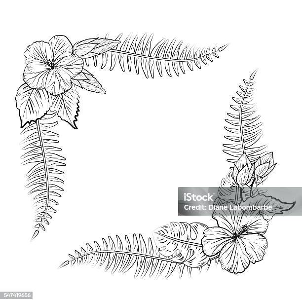 Black And White Tropical Hibiscus Floral Frame Stock Illustration - Download Image Now - Border - Frame, Hibiscus, Flower