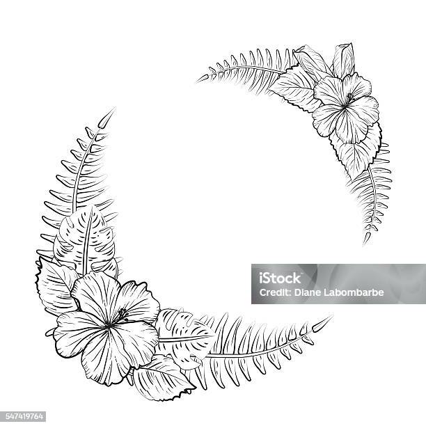 Black And White Tropical Hibiscus Floral Frame Stock Illustration - Download Image Now - Adult, Coloring, Flower