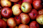 Old, wrinkled apples / Old, wrinkled apples