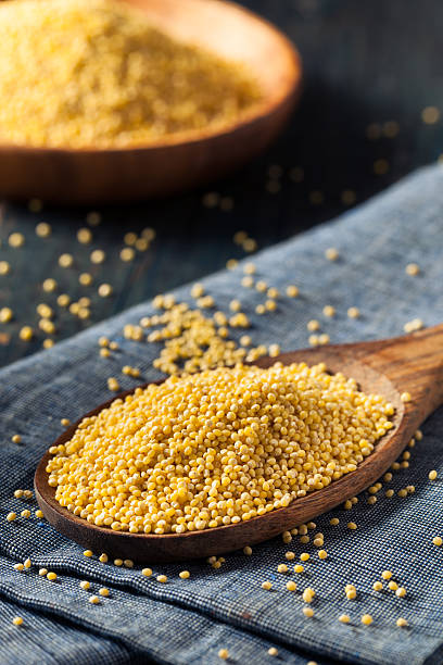 istock Raw Organic Healthy Millet 547424906