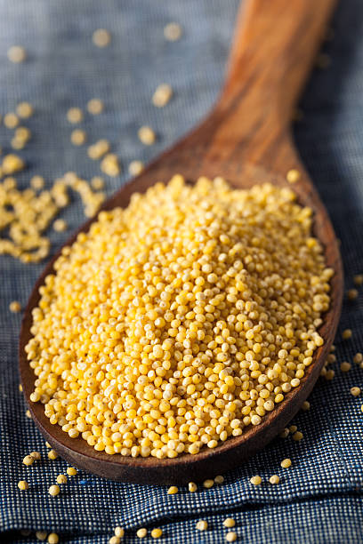 istock Raw Organic Healthy Millet 547424974