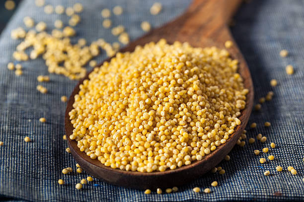 istock Raw Organic Healthy Millet 547425004
