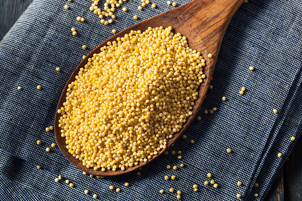 istock Raw Organic Healthy Millet 547425056