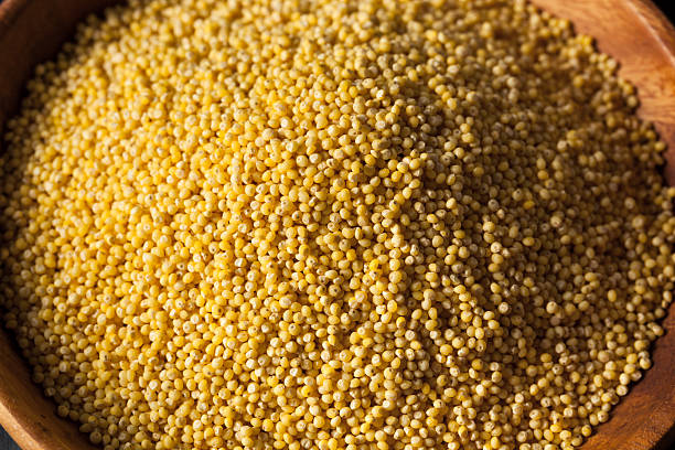 istock Raw Organic Healthy Millet 547425208