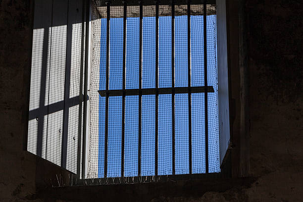istock Looking out of the fort 547425592