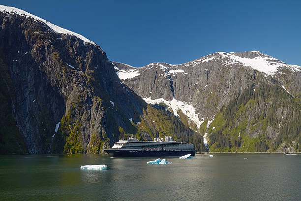 cruise ship w: tracy arm fjords in alaska, united states - alaska cruise iceberg water zdjęcia i obrazy z banku zdjęć