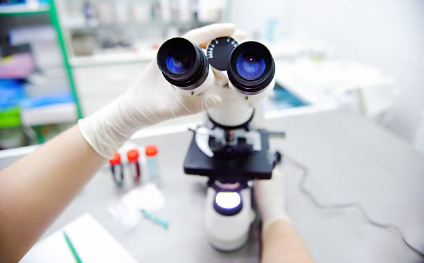 istock Close-up photo of scientist hands with microscope, examining samples 547428430