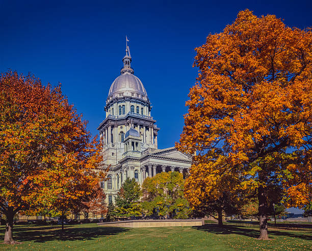 springfield illinois capitol building mit herbstahornbäumen - illinois state capitol building illinois state capitol springfield stock-fotos und bilder