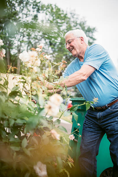 istock Senior Adult Man Doing Yardwork 547429756