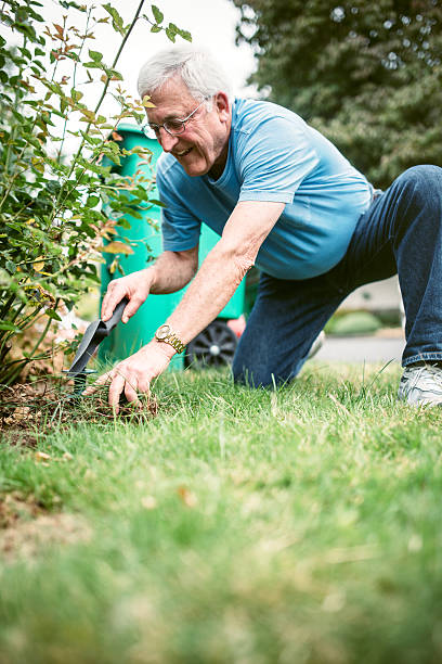 istock Senior Adult Man Doing Yardwork 547429966