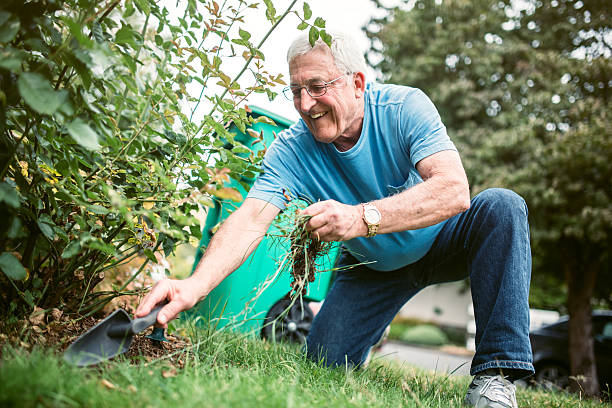 istock Senior Adult Man Doing Yardwork 547430172