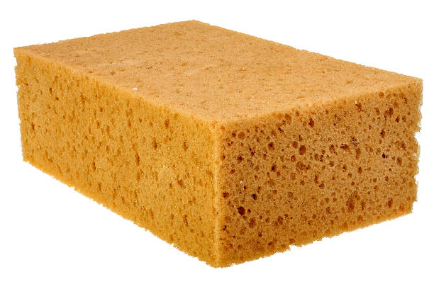 Big washing sponge isolated on white background stock photo