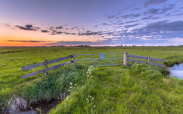 flat country sunset - polder field meadow landscape imagens e fotografias de stock