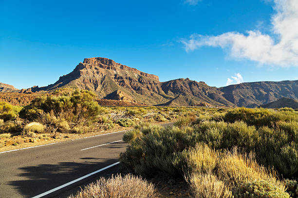 istock Road to volcano El Teide 547432958
