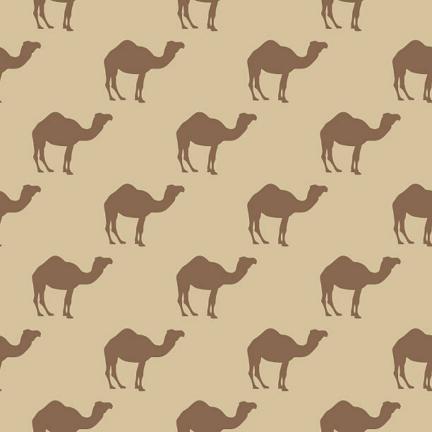 19,300+ Camel Patterns Stock Photos, Pictures & Royalty-Free Images ...