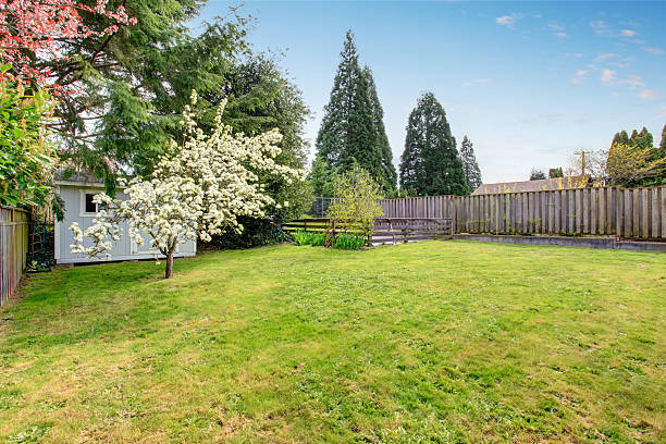 istock Fenced backyard with grass filled garden and small shed. 547435600
