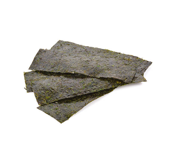 istock seaweed. dry seaweed on the background 547438544