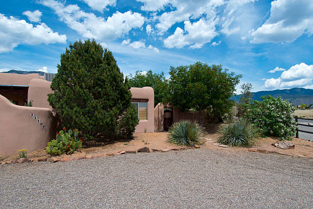 istock Adobe House with Stucco Wall and Native Trees and Plants 547439376