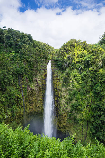 istock Akaka Falls State Park Big Island Hawaii 547439878
