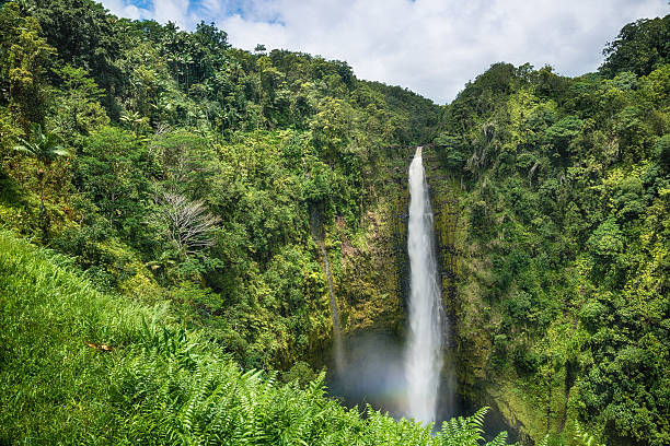 istock Akaka Falls State Park Big Island Hawaii 547439914