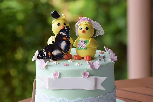 Close up of comical wedding cake of ducks. The butterfly is real and landed on the cake. The icing ribbon at the front is blank for your own inscription