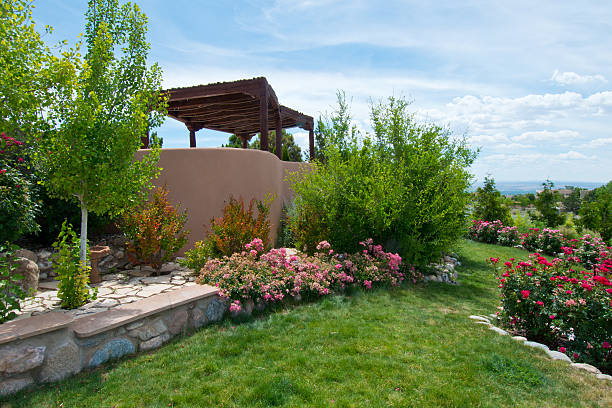 istock Beautiful Lush Back Yard Rose Garden 547442112